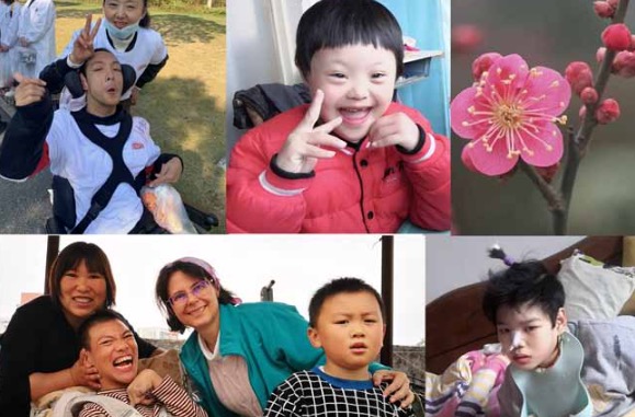 Pflaumenblütengrupee